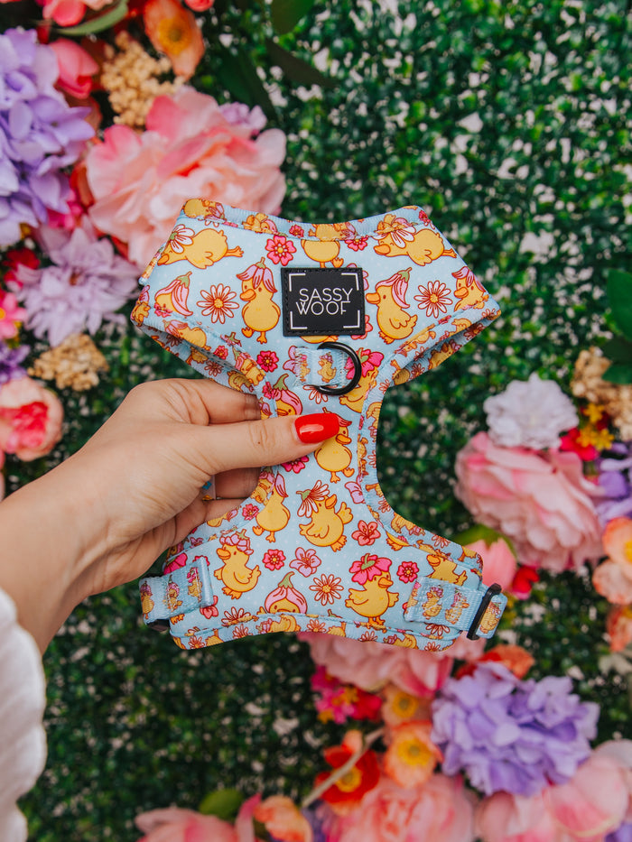 A hand with red nail polish holds the Sassy Woof “Dog Two Piece Bundle - Good Duck, Babe!” harness decorated with flowers and ducks, set against green foliage and vibrant pink, purple, and orange blossoms.