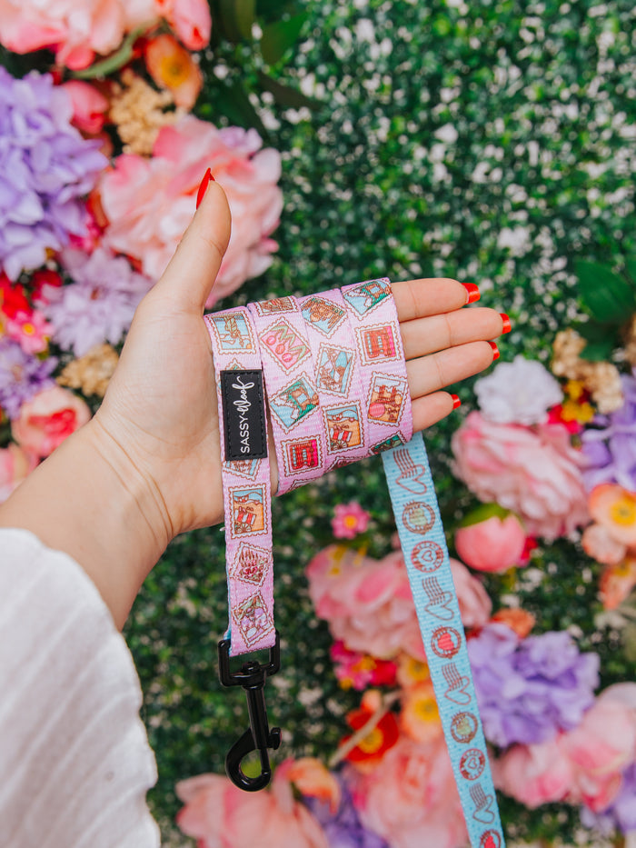 A hand with red-painted nails holds a colorful, stamp-patterned Sassy Woof leash, paired with the Dog Two Piece Bundle - Out of Office harness, set against a vibrant floral backdrop in pink, purple, and green.