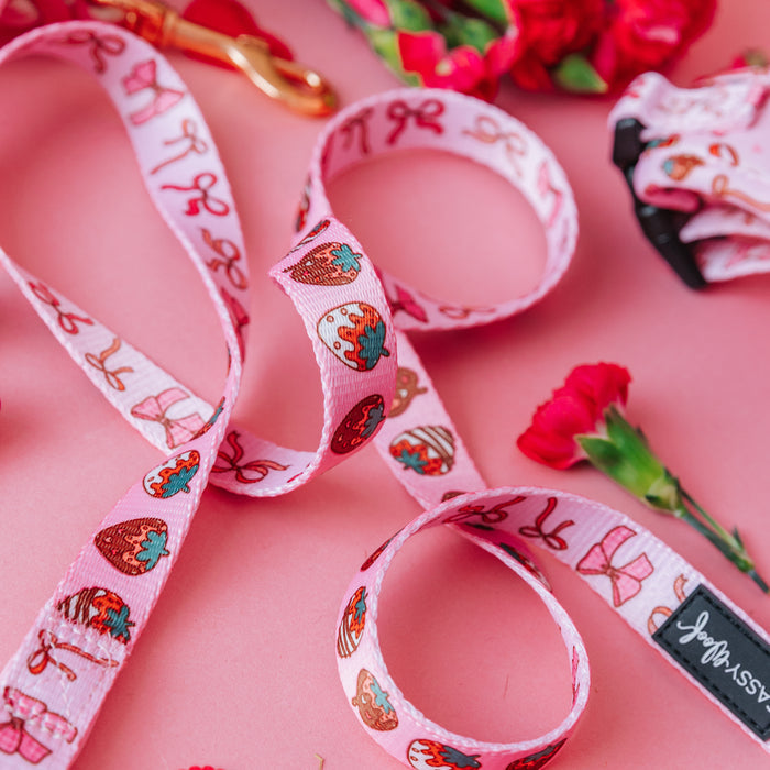 The Sassy Woof Dog Two Piece Bundle - P.S. I Woof You features a pink leash with cupcake, gingerbread men, and candy prints, displayed on pink with red flowers and matching adjustable harness accessories.