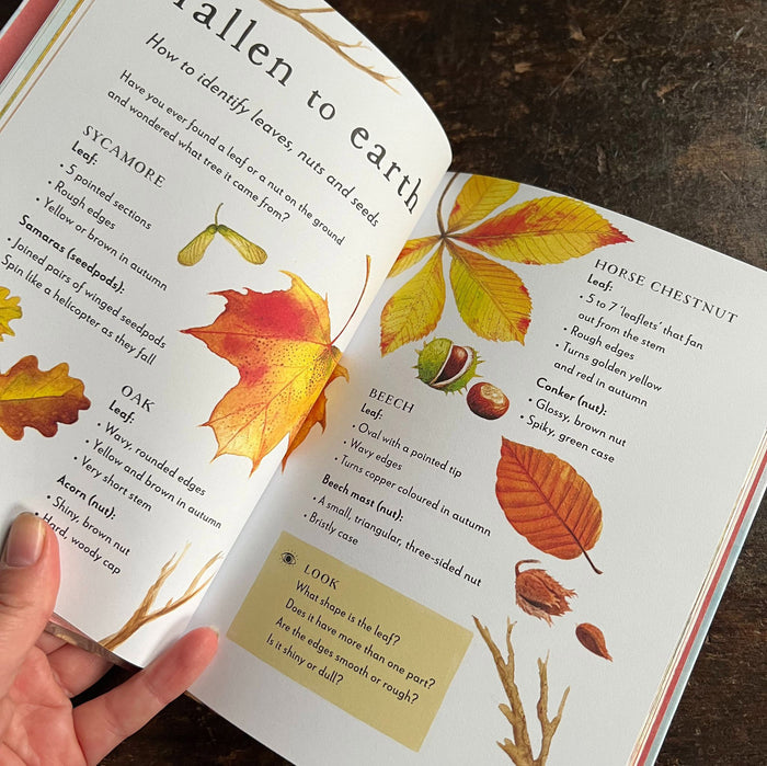 A Field Guide to Autumn, Play and Learn in Nature