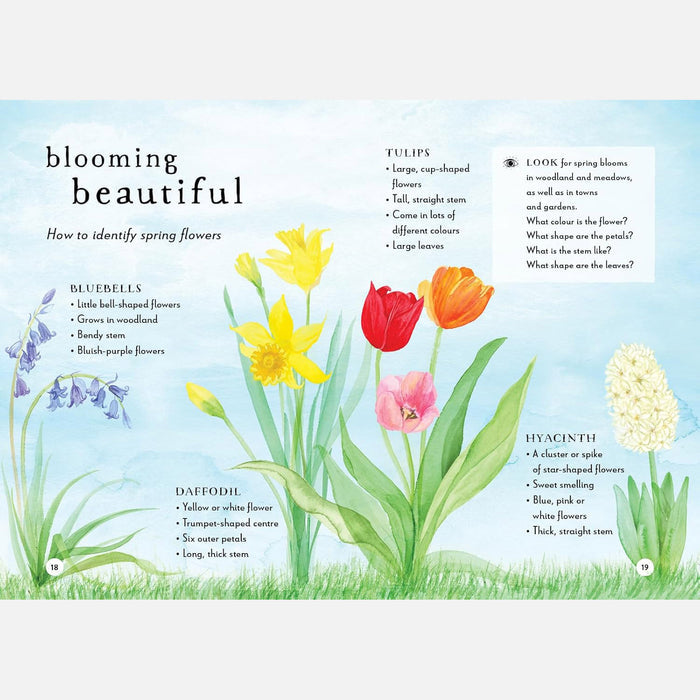 A Field Guide to Spring Play and Learn in Nature