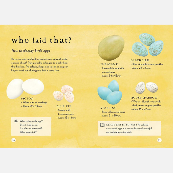 A Field Guide to Spring Play and Learn in Nature
