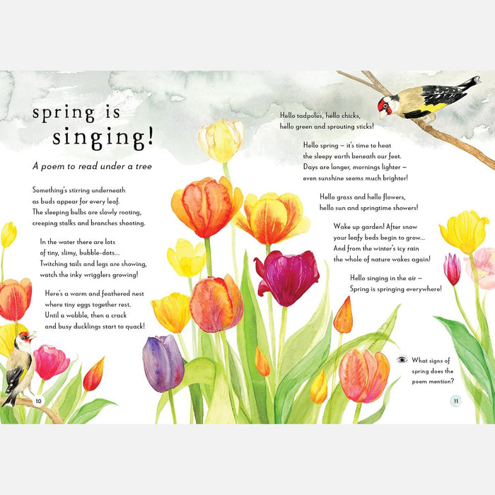 A Field Guide to Spring Play and Learn in Nature