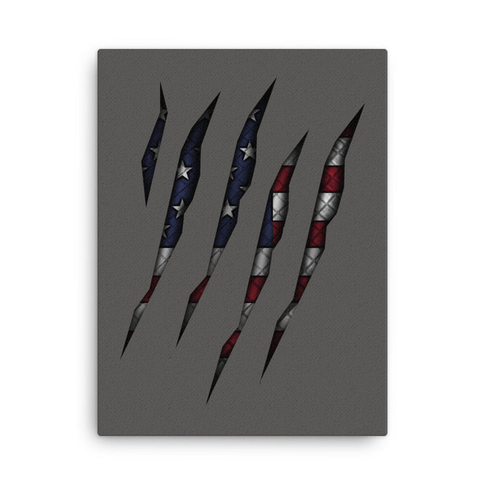 American Flag Rip Through Canvas