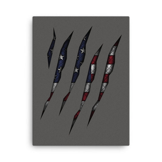 American Flag Rip Through Canvas