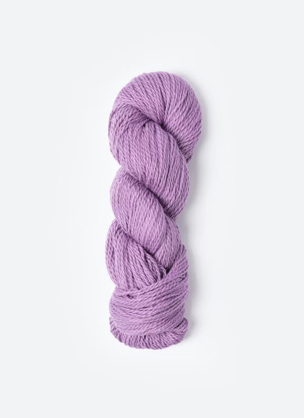 Orchid 218