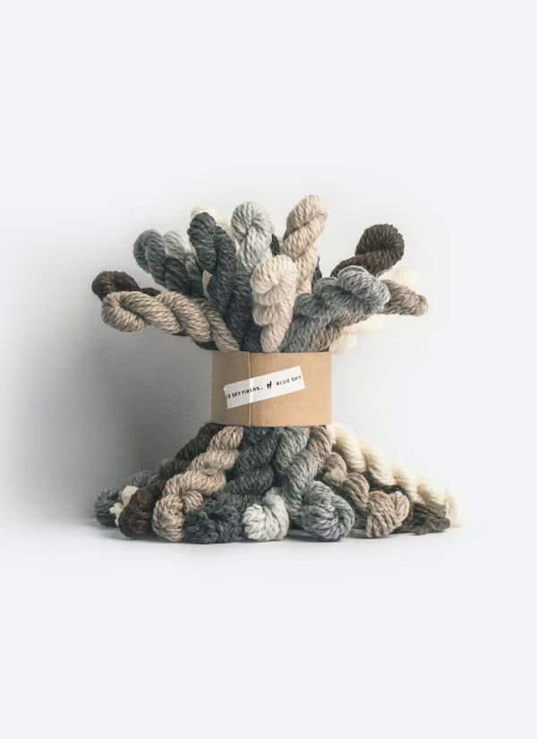 Blue Sky Fibers Woolstok Bundle Kit