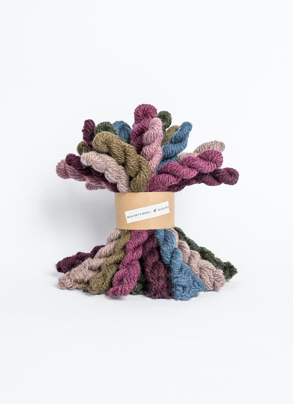 Blue Sky Fibers Woolstok Bundle Kit