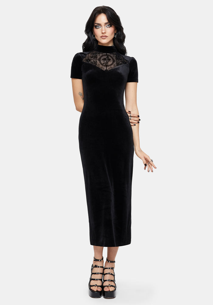 Cameo High Neck Flocked Mesh Insert Midi Dress