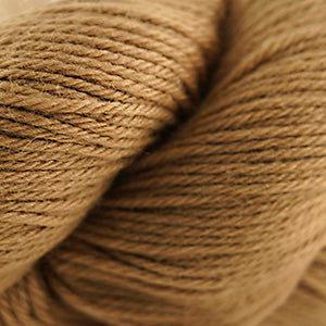 Camel 8622