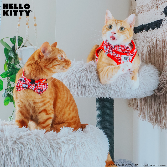 Two orange cats with checkered accessories sit on a gray cat tree. One wears the Sassy Woof Cat Step-In Harness - Hello Kitty® Red Classic, adding adorable Sanrio style to their cozy lounging spot.