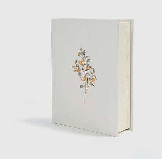 CSB Lemon edition Bible