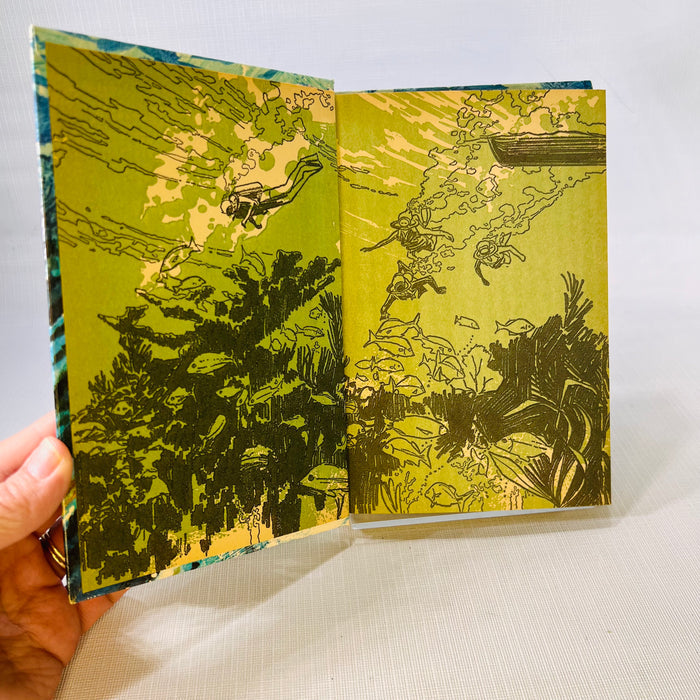 Diver Down Adventure Under the Hawaiian Seas by Hall Gordon illustrations by James Temple 1971 A Whitman Book Western Publishing