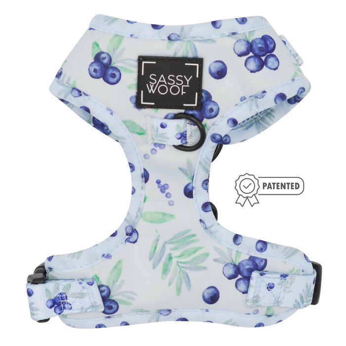 The Sassy Woof "Berry Sassy" Adjustable Dog Harness features a blueberry and green leaf pattern on a white background, comfy straps, a patented badge, and a black Sassy Woof label on the front.