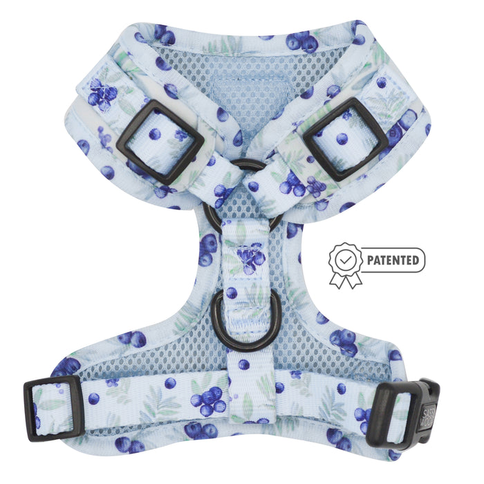 The Sassy Woof Dog Adjustable Harness - Berry Sassy features a light blue blueberry pattern, black buckles, and a central metal ring for leash attachment. A patented badge icon appears beside this no-pull harness.