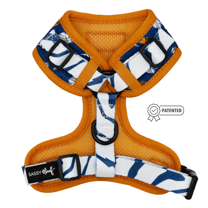 The Sassy Woof Dog Adjustable Harness - STAR WARS™ Ahsoka features orange and white colors with blue leaf patterns, black buckles, a “Patented” badge, and Sassy Woof label—perfect for fans seeking an Ahsoka-inspired harness.