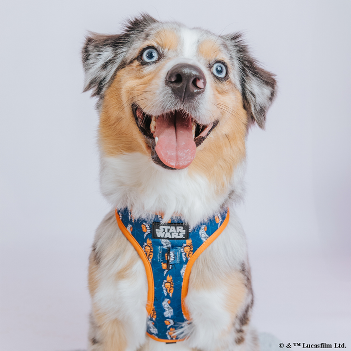 INFLUENCER_CONTENT | @LILYTHEMINIAUSSIE | SIZE M