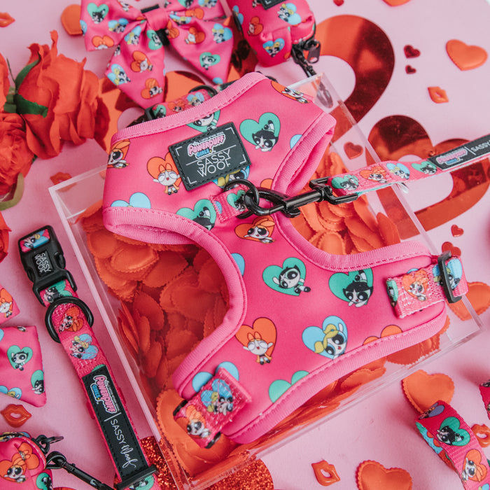 The Sassy Woof Dog Adjustable Harness - The Powerpuff Girls™ (Love) in pink, shown on a matching background, offers comfort and style with its adjustable fit.