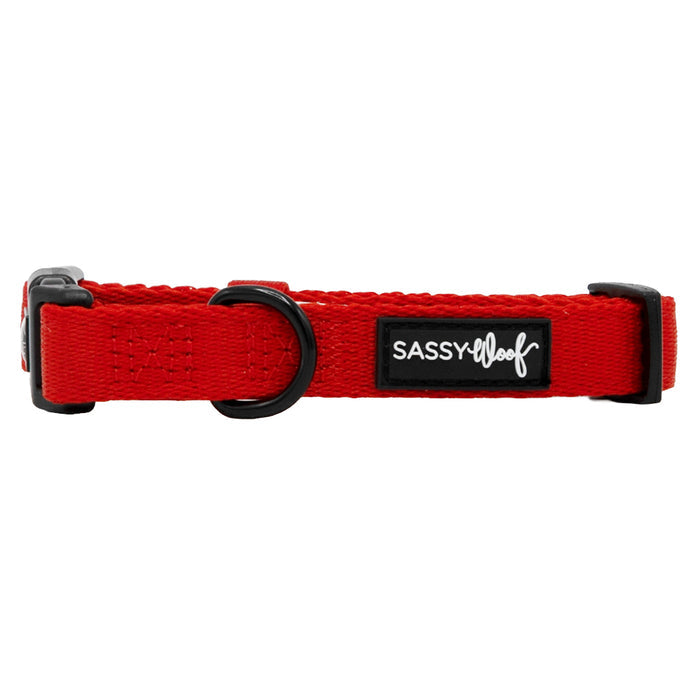 The Neon Red Dog Collar by Sassy Woof is made from soft neoprene, features black hardware, a white SASSY WOOF label, and includes a sturdy metal D-ring for leash attachment.