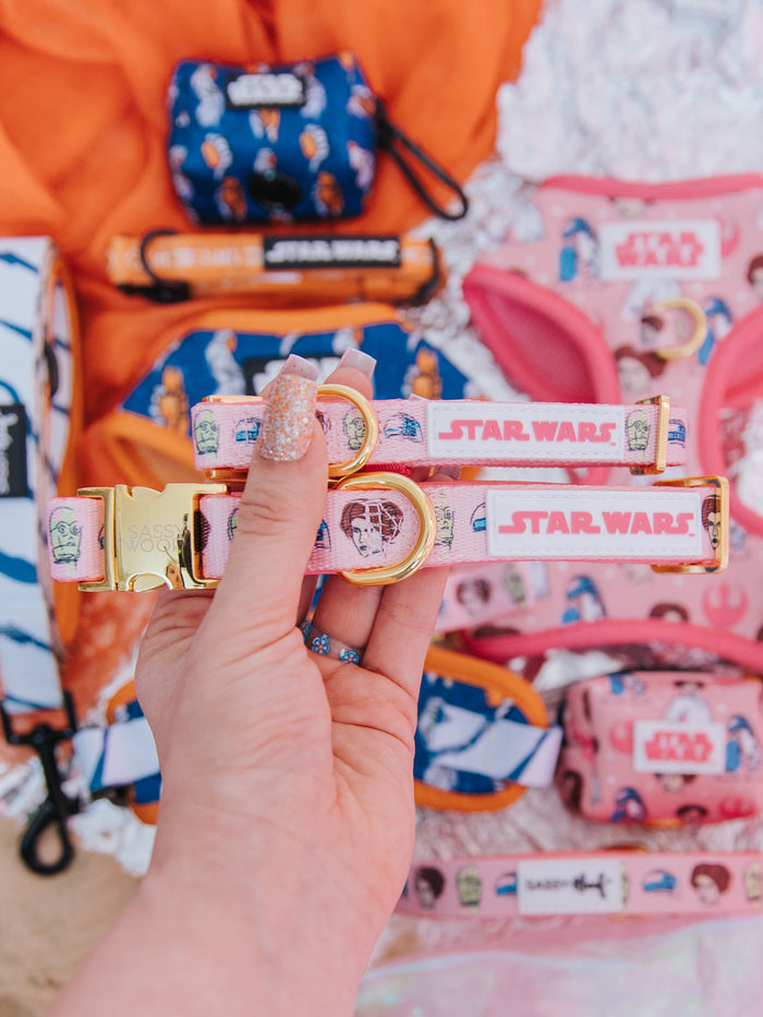 A hand with glittery nails holds two pink Sassy Woof STAR WARS™ Princess Leia dog collars with character art. More colorful Star Wars pet accessories, including R2D2 and C3PO collars, are scattered in the blurred background.