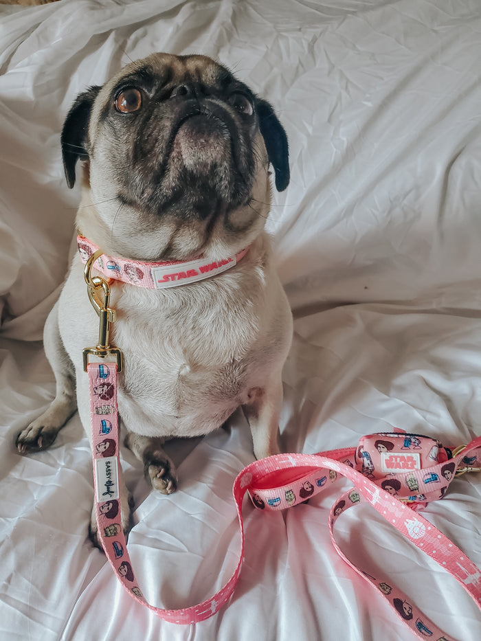 INFLUENCER_CONTENT | @GEMINIPUG | SIZE M