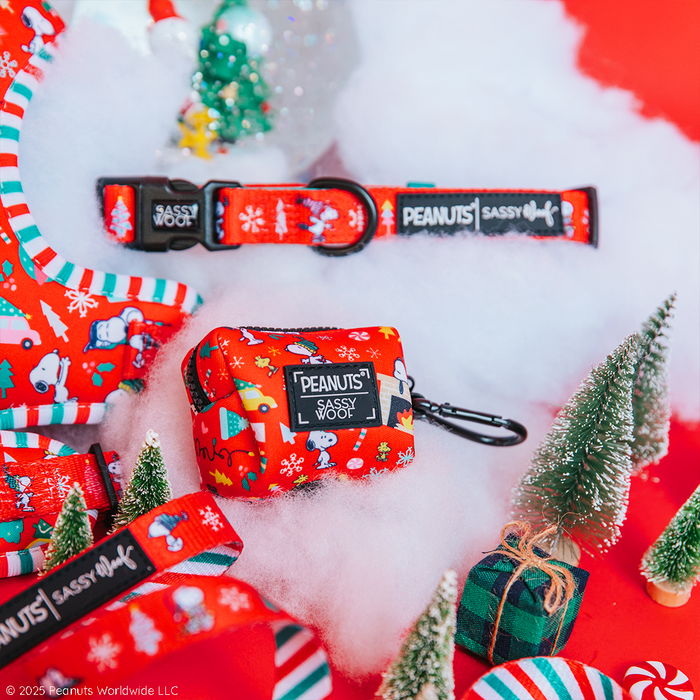 Celebrate the holidays with the Sassy Woof Dog Collar Three Piece Bundle from the Peanuts™ Beagle Bells collection, featuring a Snoopy-themed dog collar, leash, and waste bag holder displayed on artificial snow. The festive scene is completed with mini Christmas trees and gift boxes set against a vibrant red background.