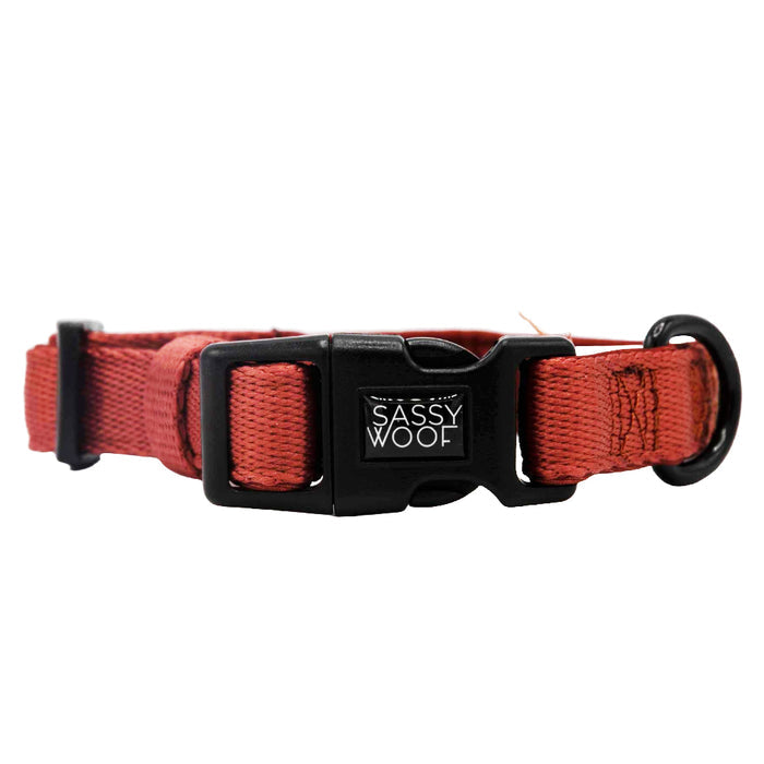 A burgundy dog collar from the Sassy Woof Dog Four Piece Bundle features an adjustable fit, black plastic buckle, a metal leash ring, and pairs perfectly with a matching harness.