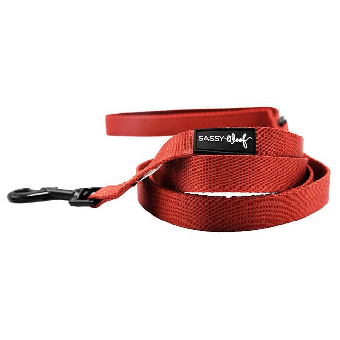 The Sassy Woof Dog Four Piece Bundle in Burgundy features a nylon leash with a black metal clip and a black "Sassy Woof" label, coiled with visible handle and clip, designed to pair perfectly with a step-in harness for daily walks.