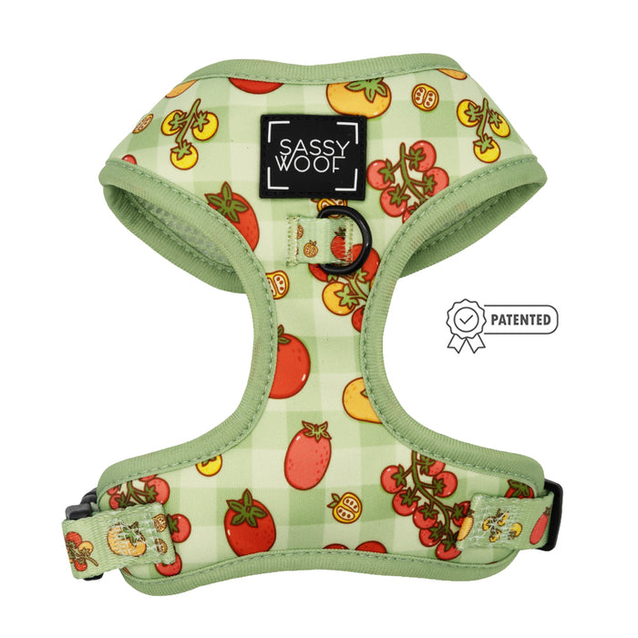 The Sassy Woof Dog Four Piece Bundle - Feeling Vine features a green checkered adjustable harness with cartoon tomato patterns, Sassy Woof label, patented design icon, and playful plant-inspired accessories.