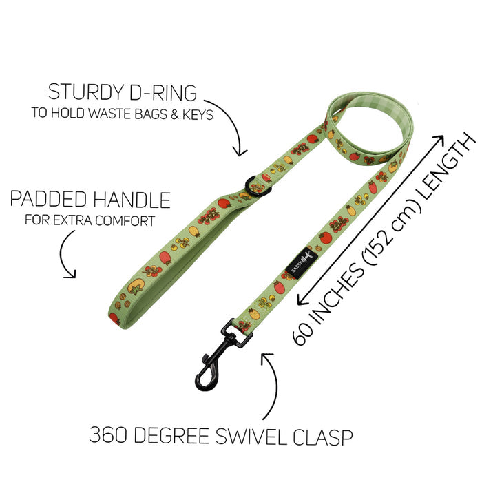 The Sassy Woof Dog Four Piece Bundle - Feeling Vine features a light green leash with red and yellow cartoon mushrooms, padded handle, sturdy D-ring for keys or waste bags, 360° swivel clasp, and measures 60 inches (152 cm) long.