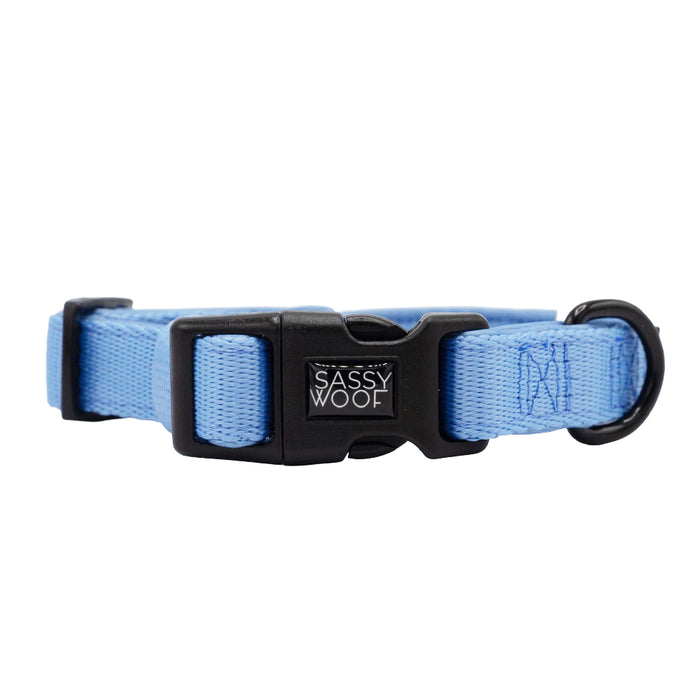 The Sassy Woof Dog Four Piece Bundle - Hydrangea includes a light blue adjustable collar with pastel accents, a black plastic buckle, and a black metal D-ring for easy leash attachment.