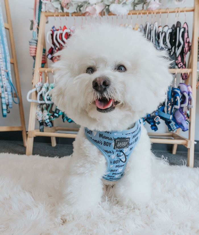 INFLUENCER_CONTENT | @KRISPYKREMETHEBICHON | SIZE S