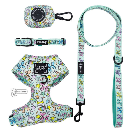 The Sassy Woof Dog Four Piece Bundle - Pup Pup Hooray features a pastel adjustable harness, collar, leash, and waste bag holder with stars, bows, and cupcakes—ideal as dog birthday accessories. Brand appears on harness and bag holder.