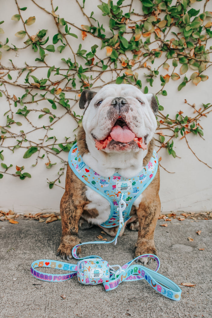 INFLUENCER_CONTENT | @ITSZEUSTHEBULLDOG