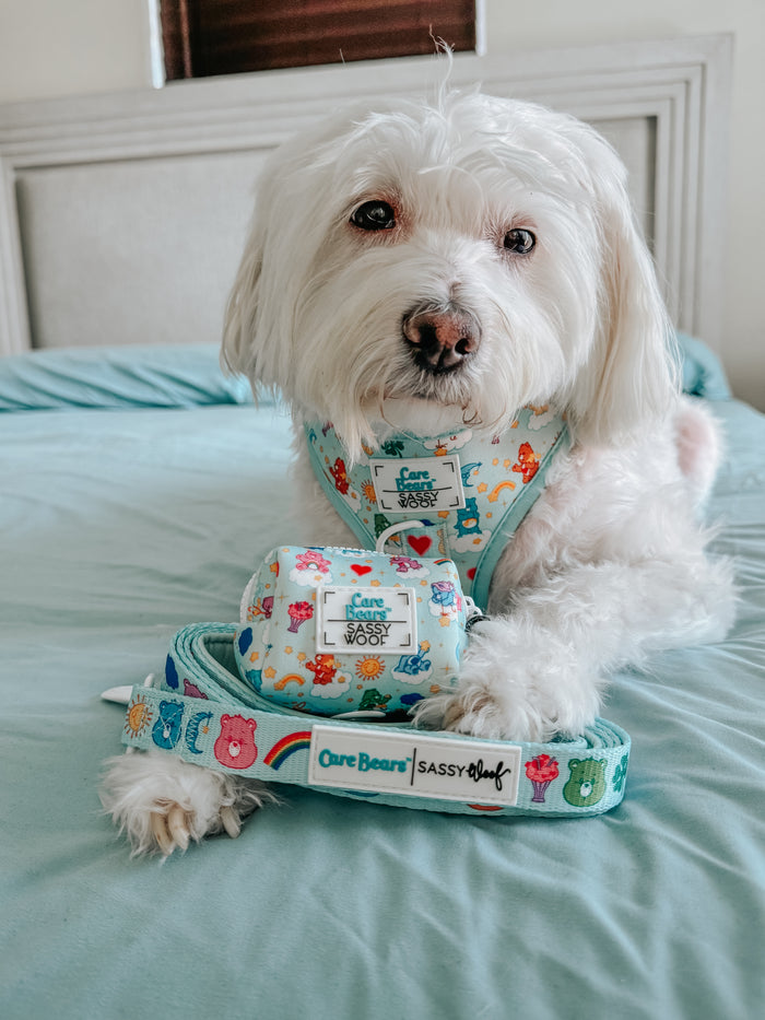 A fluffy white dog sits on a bed wearing a Care Bears™ harness, with the Sassy Woof Dog Leash - Care Bears™ Care-a-Lot (with padded neoprene handle) and matching waste bag holder, all featuring colorful Care Bears designs, in front of it.