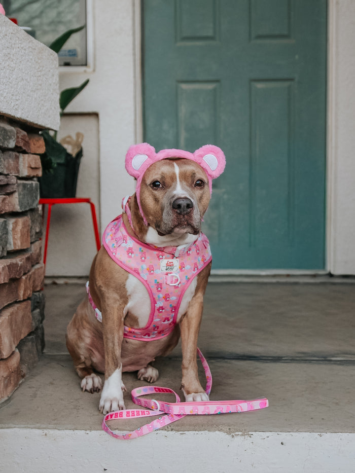 INFLUENCER_CONTENT | @INDIE.PITTIE
