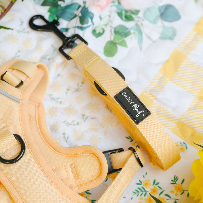 The Sassy Woof Dog Leash - Daffodil is shown on a floral and checkered fabric, featuring green leaves, yellow flowers, and a soft neoprene handle. The bright scene highlights its cheerful yellow design and “Sassy Woof” tag.
