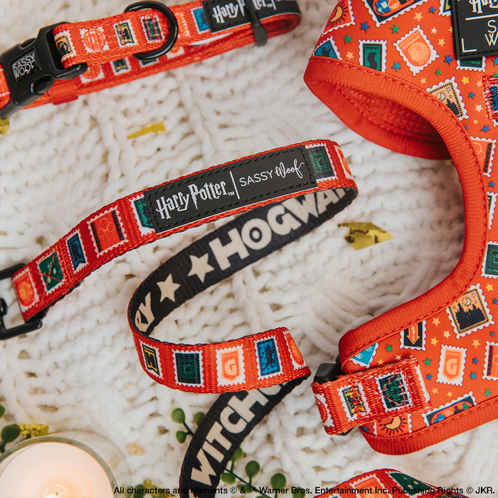 A close-up of the Sassy Woof Dog Leash - Harry Potter™ Stamps, featuring red pet accessories decorated with colorful emblems and magical stamp patterns, displayed on a cream knitted blanket.