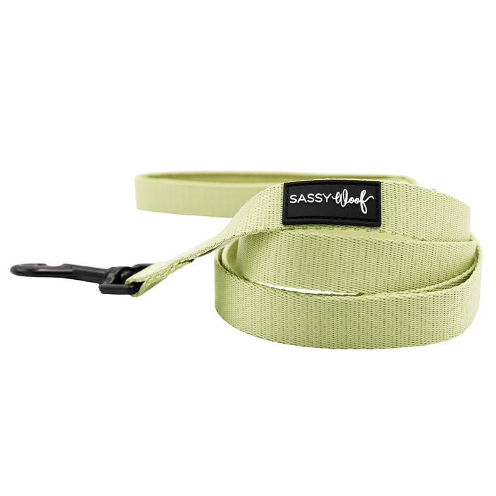 The Dog Leash - Matcha by Sassy Woof features a light green, Japanese green tea-inspired color, a soft neoprene handle, black metal clip, and a black Sassy Woof label in white text. It’s neatly coiled on a white background.