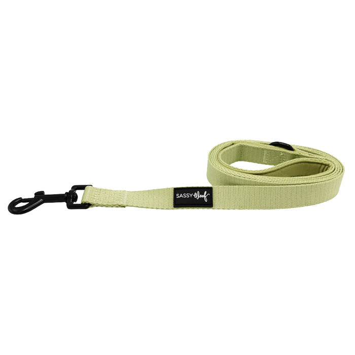 The Sassy Woof Dog Leash - Matcha features a light beige color, black metal clasp, neoprene handle for comfort, and a black SASSY WOOF label, shown coiled in a flat loop on a white background.
