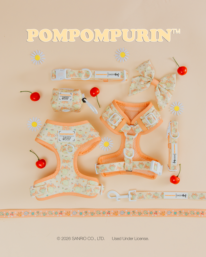 Flat lay of Sassy Woof’s Dog Leash - Pompompurin™ and matching pastel yellow and orange accessories with Pompompurin patterns—a collar, bow, waste bag holder, and cherries—on a peach background. "POMPOMPURIN" is at the top.
