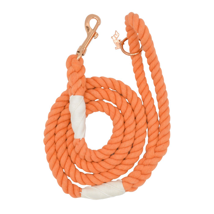 The Sassy Woof Dog Rope Leash - Clementine is a hand-crafted orange cotton leash with white accents, featuring a rose gold clasp and ring for collar attachment—offering stylish durability for daily walks.