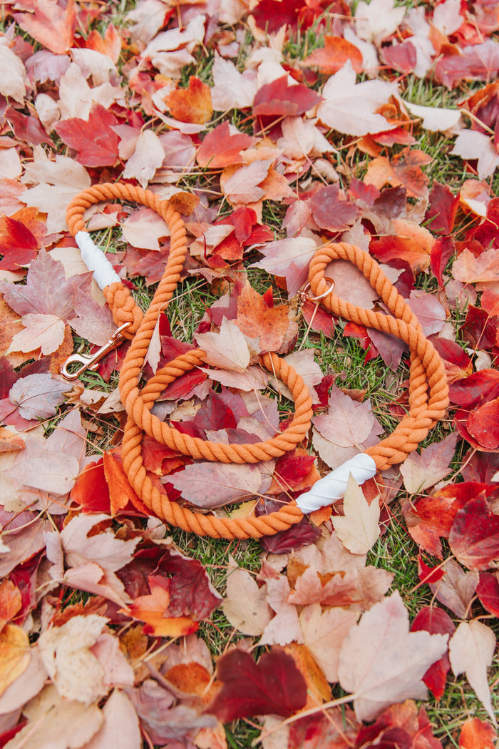 The Sassy Woof Dog Rope Leash - Clementine, featuring sturdy metal clips, is coiled on grass surrounded by vibrant red, orange, and yellow autumn leaves.