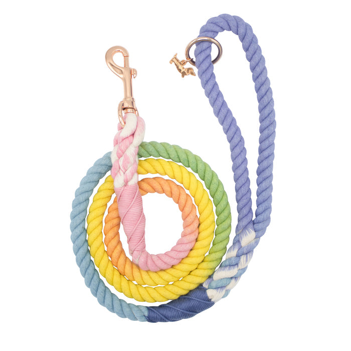 The Sassy Woof Dog Rope Leash - Sprinkles is a hand-crafted ombre leash with a metal clasp, showcasing pastel pink, yellow, green, blue, and purple in a beautiful gradient pattern.