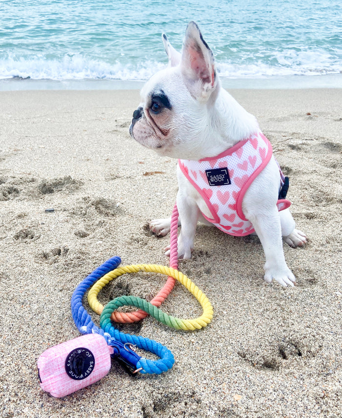 A small white French Bulldog in a pink harness sits on a sandy beach near the ocean. In front of the dog is the Sassy Woof Dog Rope Leash - Sprinkles and a matching pink waste bag holder.