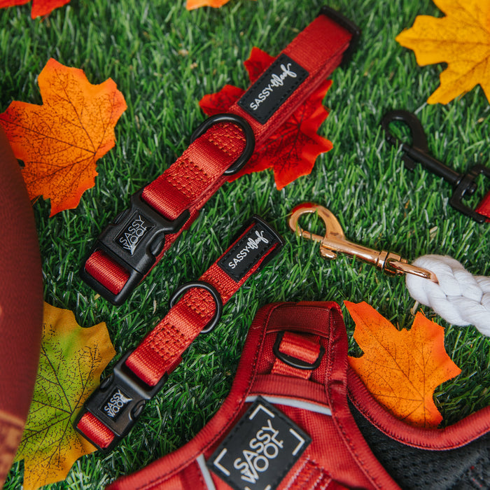 Sassy Woof Dog Three Piece Bundle in Burgundy sits on artificial grass with autumn leaves, along with a football and black and gold leash clips. Red Sassy Woof collars, harnesses, and a white rope leash add to the scene.