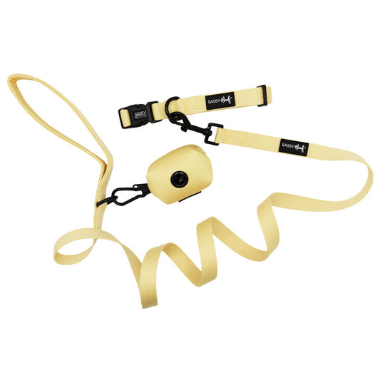 The Sassy Woof Dog Three Piece Bundle - Daffodil features a yellow leash, collar, and matching waste bag dispenser, all displayed on a white background.