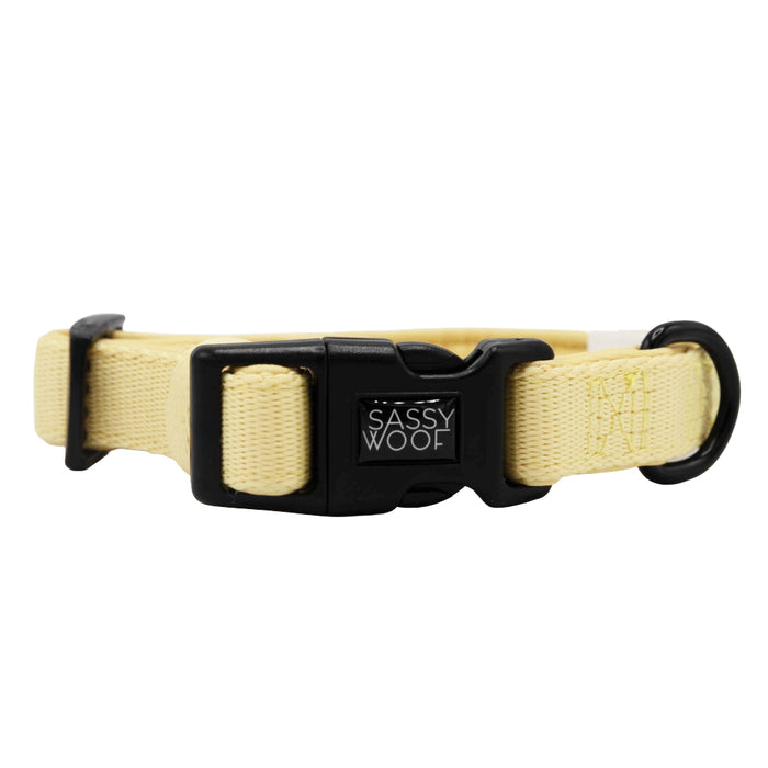 The Sassy Woof Dog Three Piece Bundle - Daffodil includes a light yellow adjustable collar with a black plastic buckle showing “Sassy Woof” in white and a sturdy metal D-ring, all part of the Daffodil Collection.
