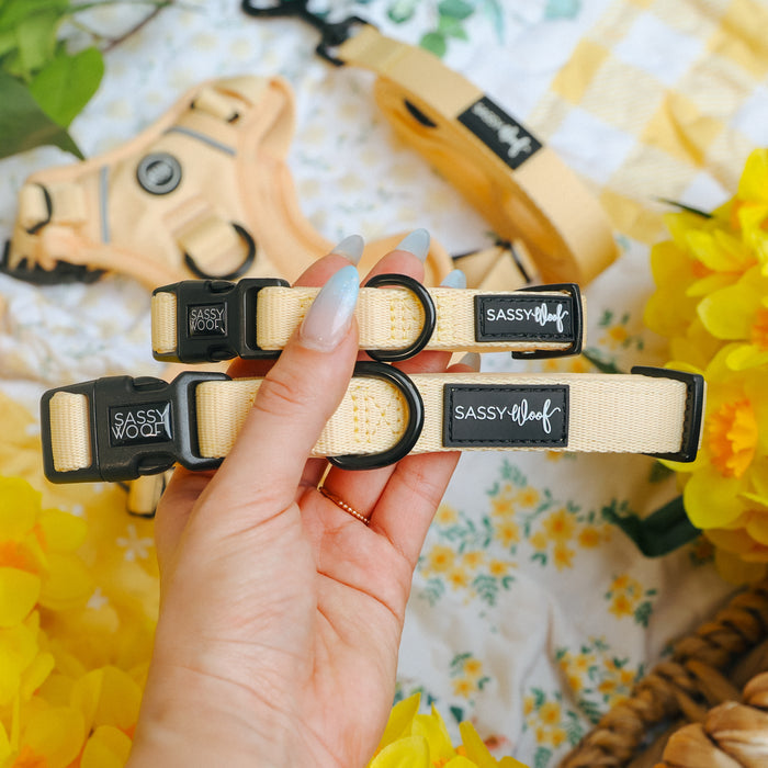 A hand holds the Sassy Woof Dog Three Piece Bundle - Daffodil, featuring two light yellow collars with bright yellow flowers and matching leash and accessories in the background.