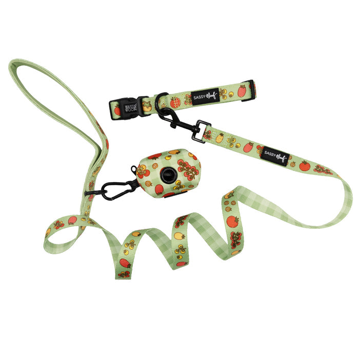 The Sassy Woof Dog Three Piece Bundle - Feeling Vine features a light green leash and collar with a red fruit and flower print, matching waste bag holder, checkered detail, and branding tags for that signature Feeling Vine vibe.